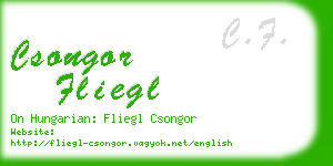 csongor fliegl business card